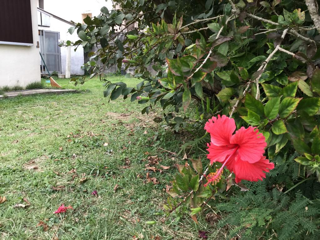 Natural Factory Okinawa Exterior photo
